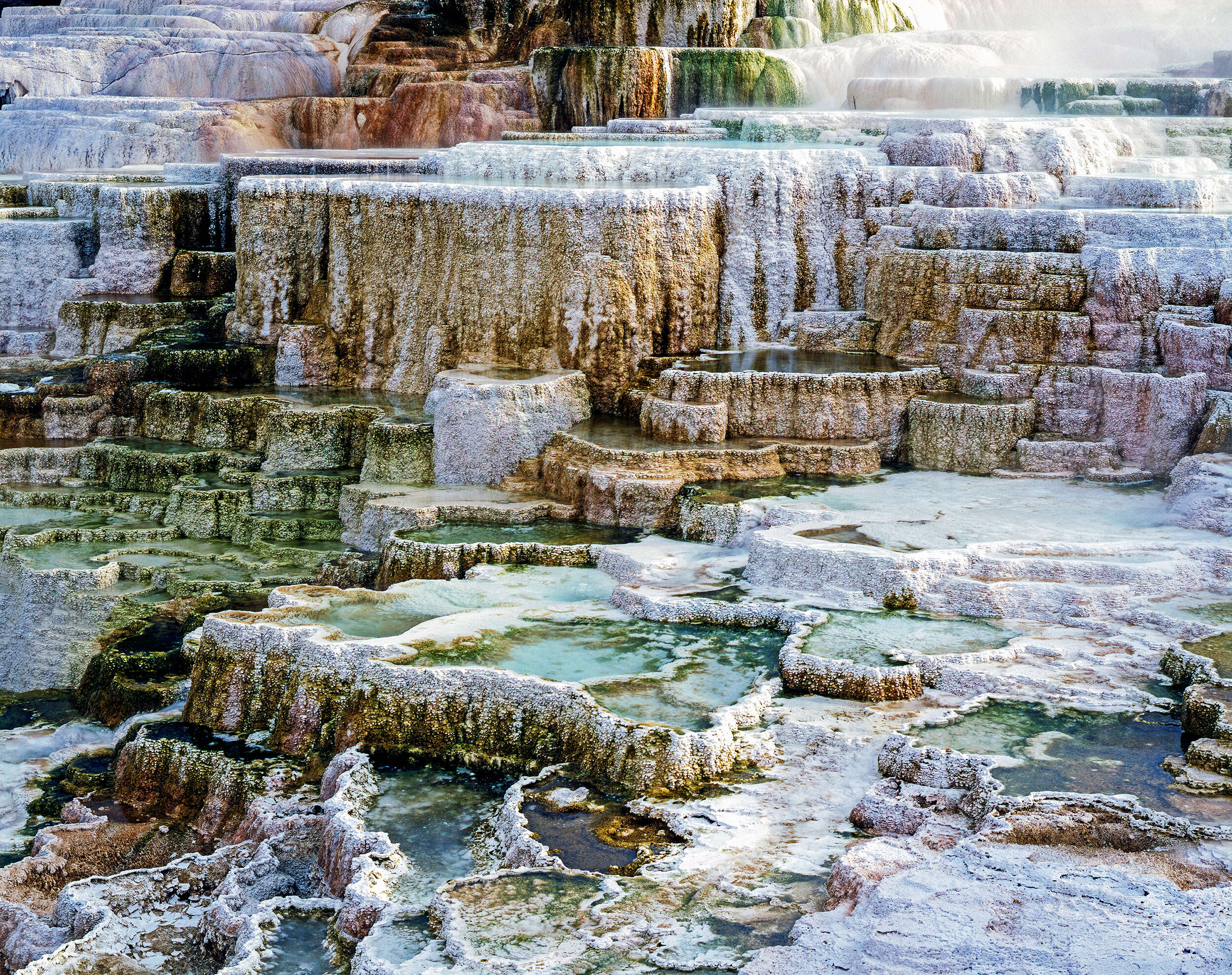 Minerva Terrace, Mammoth Hot Springs