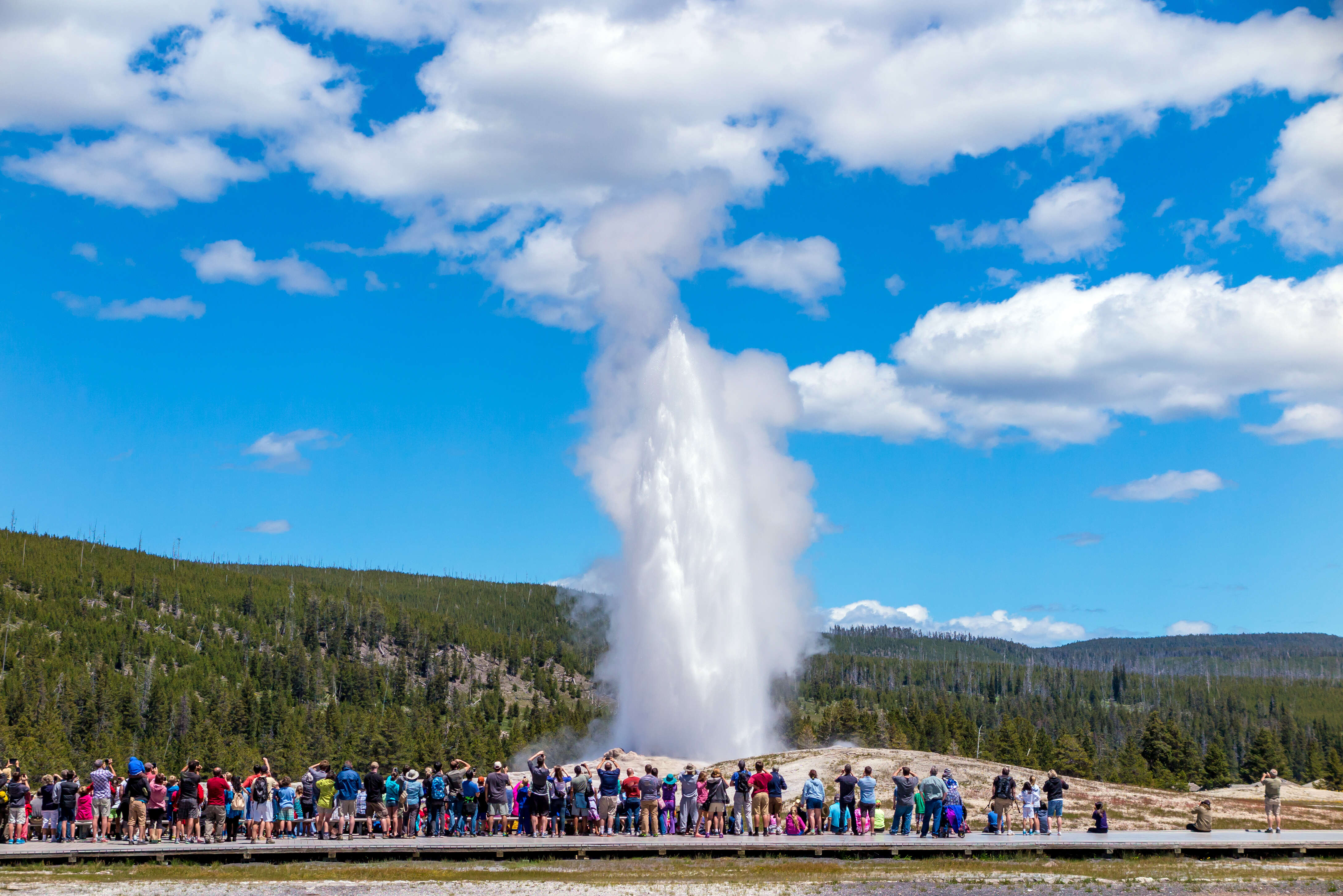 Old Faithful erupts while tourists watch