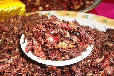 Chapulines