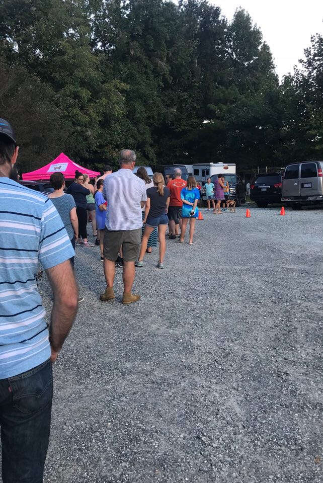 Line of dog fosters in North Carolina before Hurricane Florence