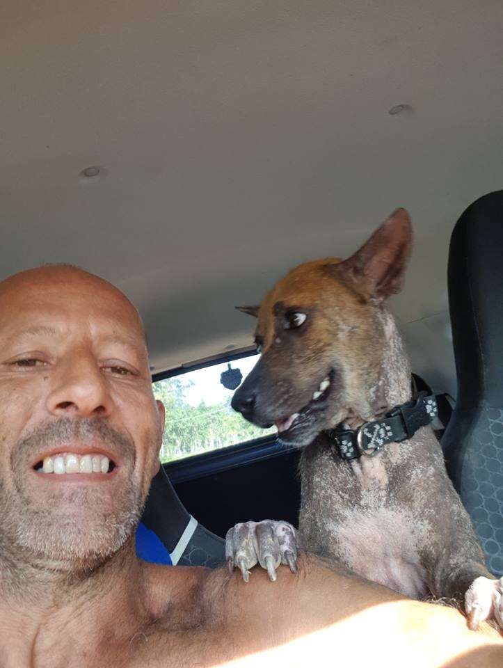 Dog standing on shoulders of man in car