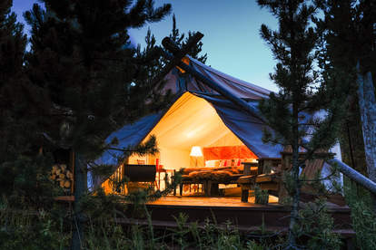 10++ Tent Camping Yellowstone