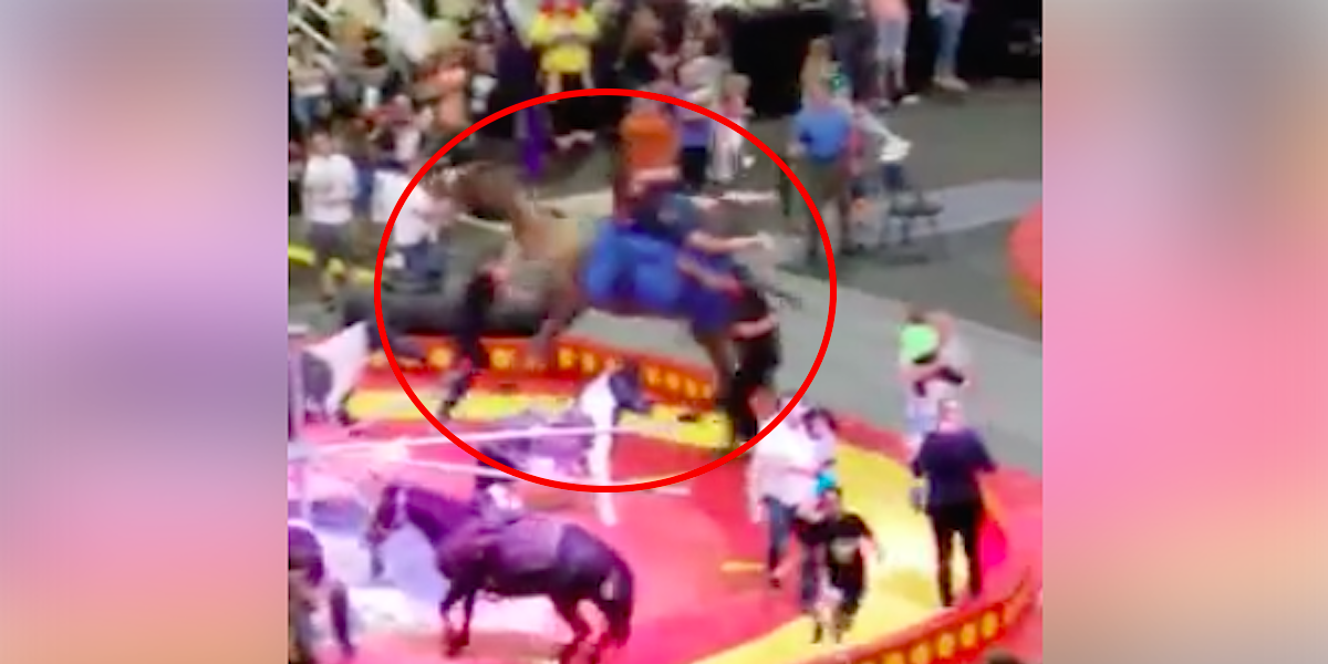 Kids Injured When Camel Panics Mid-Ride In Pittsburgh Circus - The Dodo
