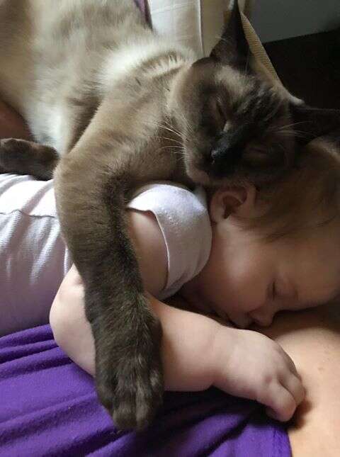 Former stray cat cuddles with newborn baby