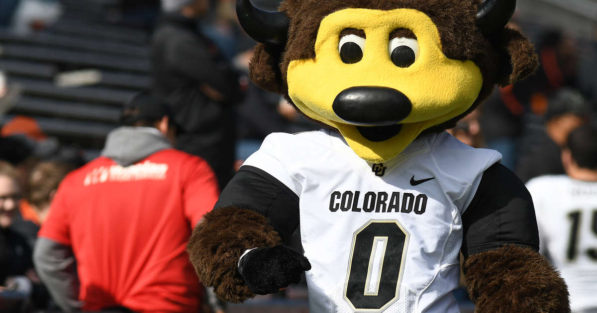 Colorado Mascot Shoots Self With T Shirt Gun And Gets Carted Off Field Thrillist 7782