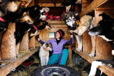 Musher Zoya DeNure pets her team of dogs before the Iditarod.