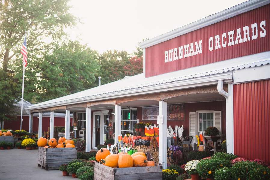 best pumpkin patches northeast ohio