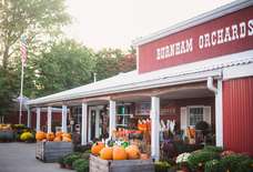 Ohio’s Best Pumpkin Patches to Visit for a Perfect Fall Day