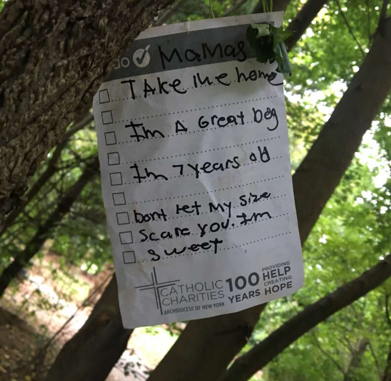 A note left on the tree where Mamas the dog was tied