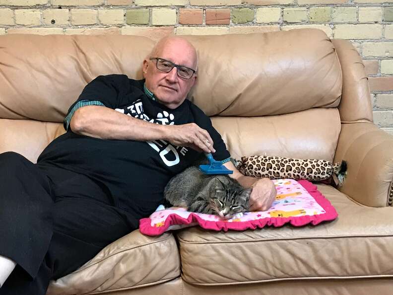 volunteer falls asleep with cats