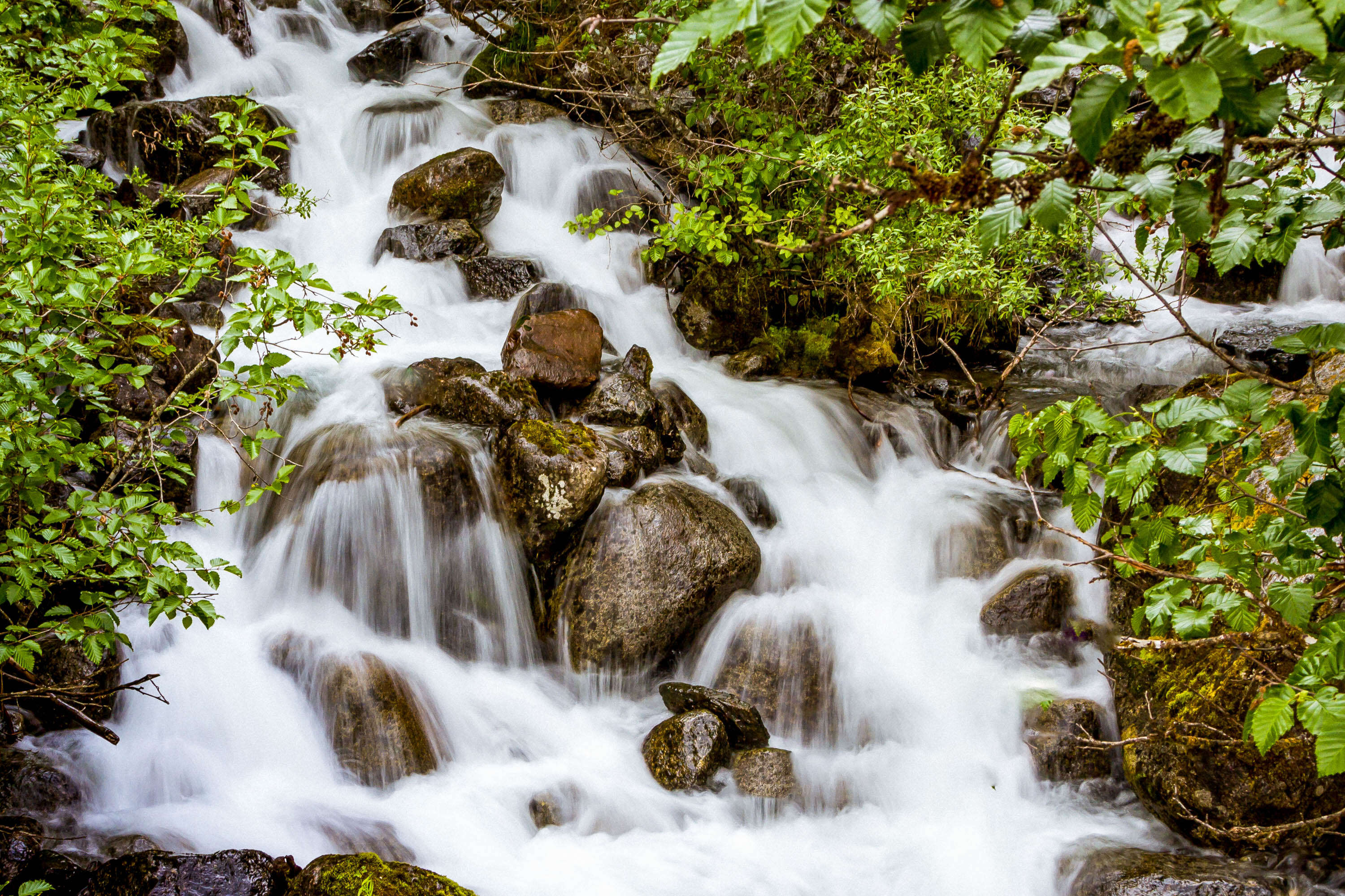 A waterfall on the "Trail of Time" hiking trail at Mendenhall Glacier