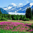 Mendenhall Glacier Viewpoint