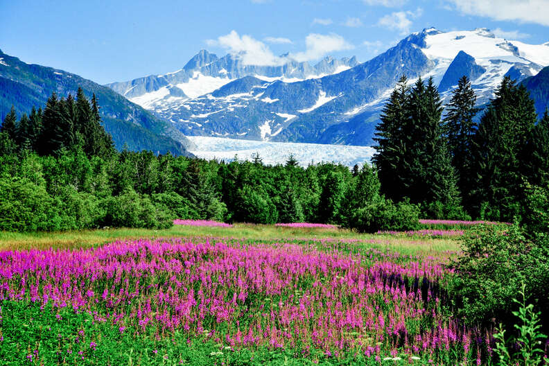 Mendenhall Glacier Viewpoint