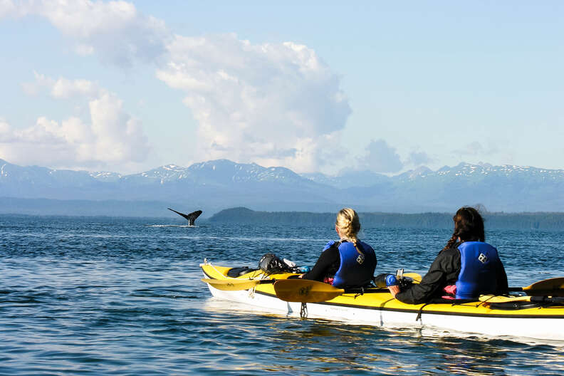 Sea Kayaking in Alaska