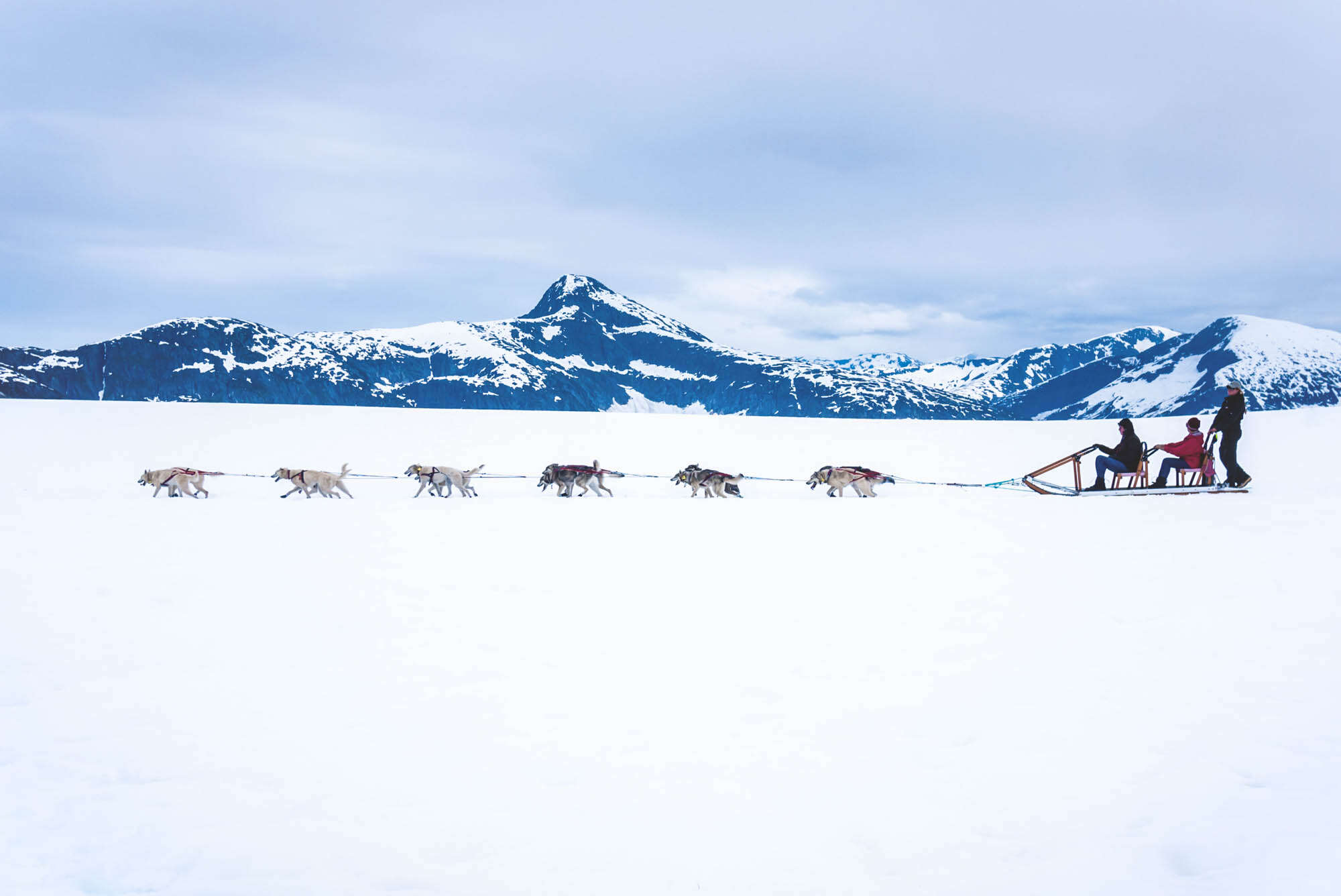 Dogsledding outside Juneau