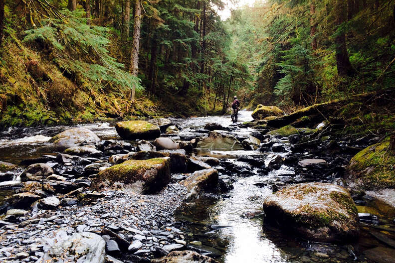 Fly-fishing in Juneau