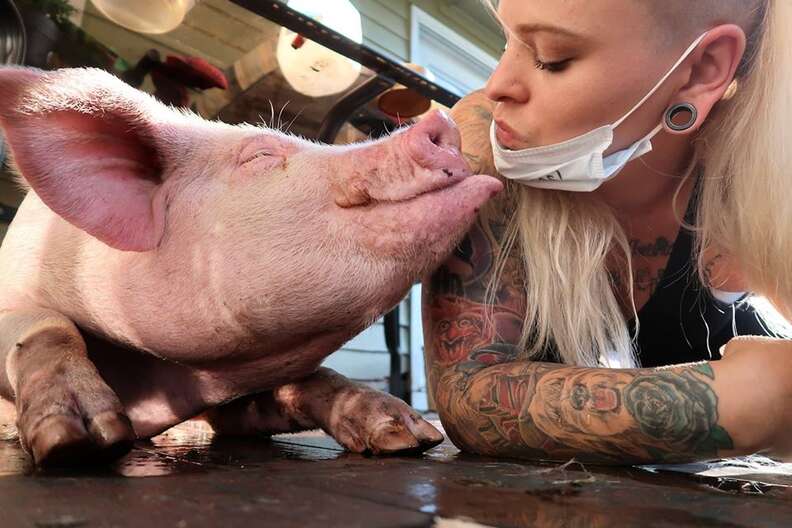 Woman going to kiss pig on the mouth