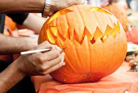Best Pumpkin Patches In Los Angeles Places For Picking Mr Bones Pumpkin Patch