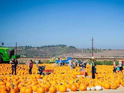 Underwood Family Farms