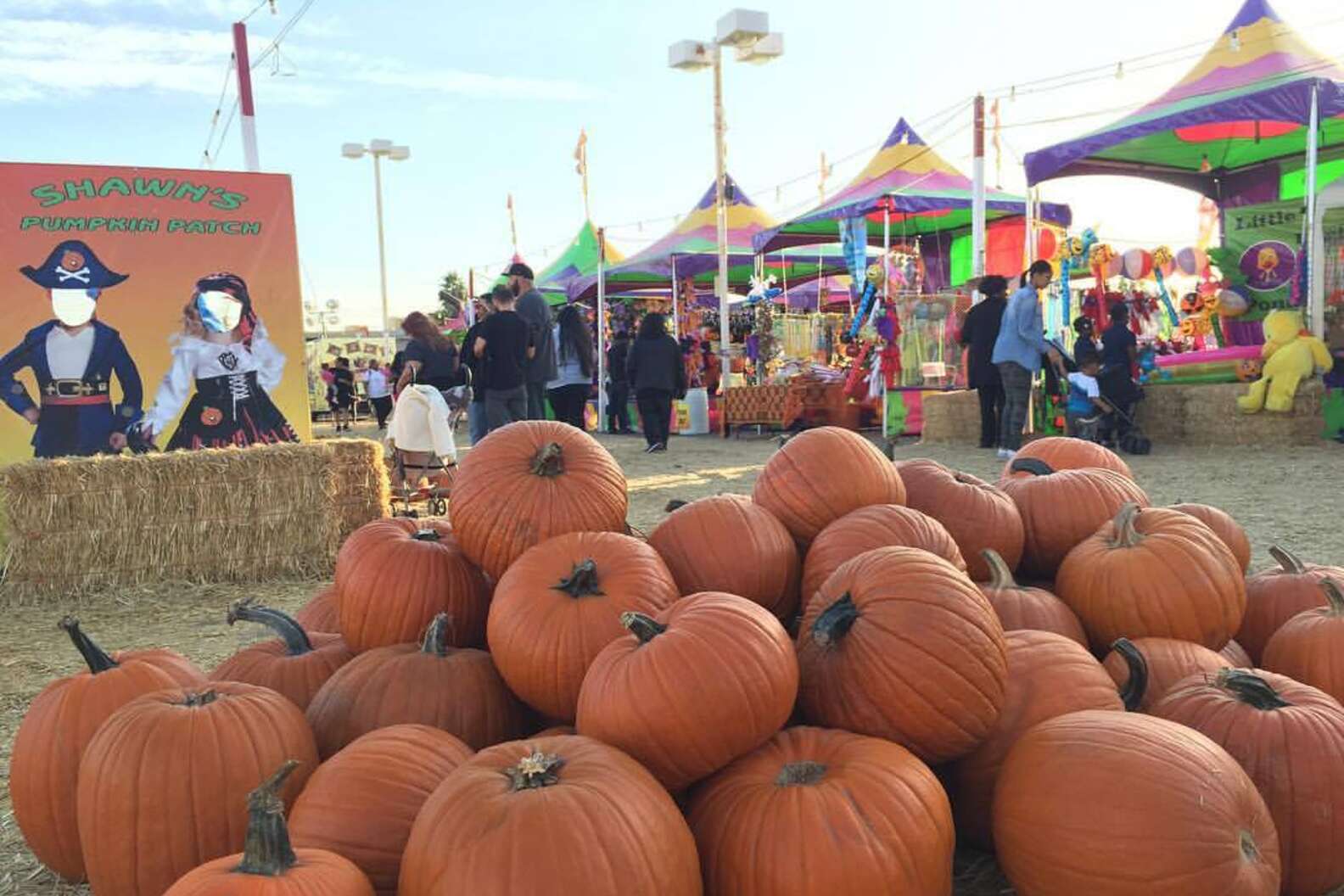 Best Pumpkin Patches in Los Angeles Places for Pumpkin Picking in LA