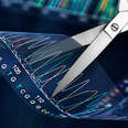 What Happens When CRISPR Backfires?  