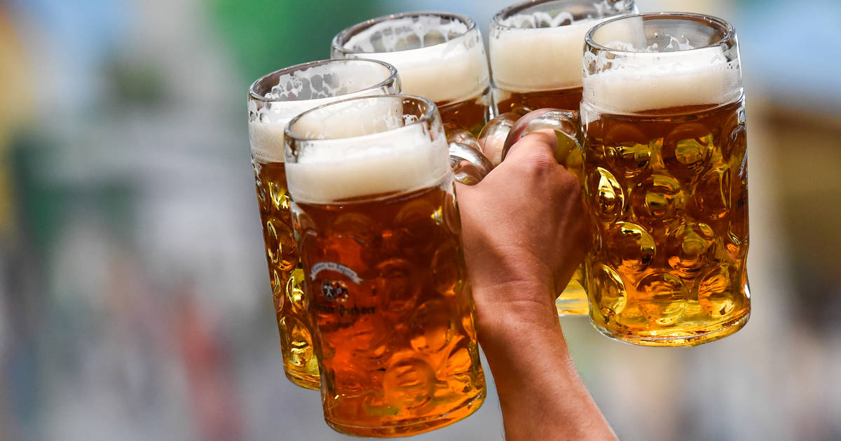 Oktoberfest Beer: Everything You Need to Know About Best Beers This Fall -  Thrillist