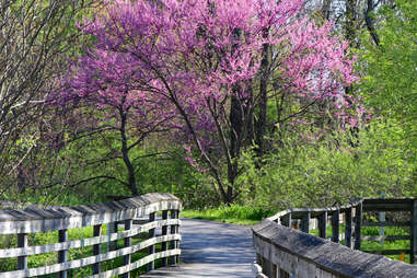 Erie Canalway