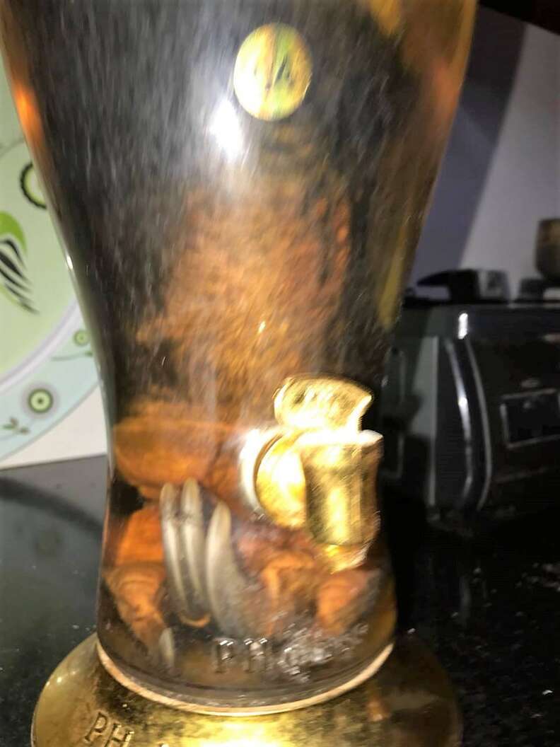 Bearpaw wine discount