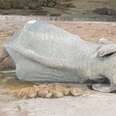 Dead elephant lying on dirt ground