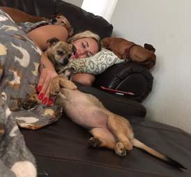 Dog pile on foster mom Dava Hammack