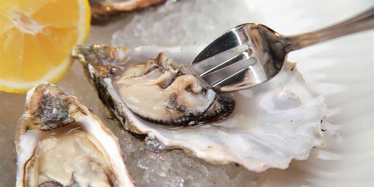 Oysters Are Alive When You Eat Them Videos NowThis