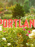 The Ultimate Portland Travel Guide