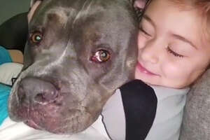 This Girl And Her Pit Bull Know How Lucky They Are 