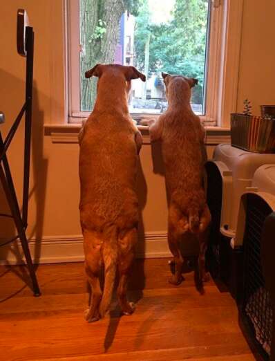 Rogue and Beast wait for their parents to return home