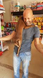 Dog latched onto man