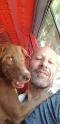 Puppy holding onto man