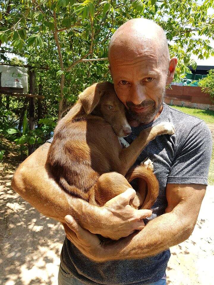 Puppy cuddling up to man