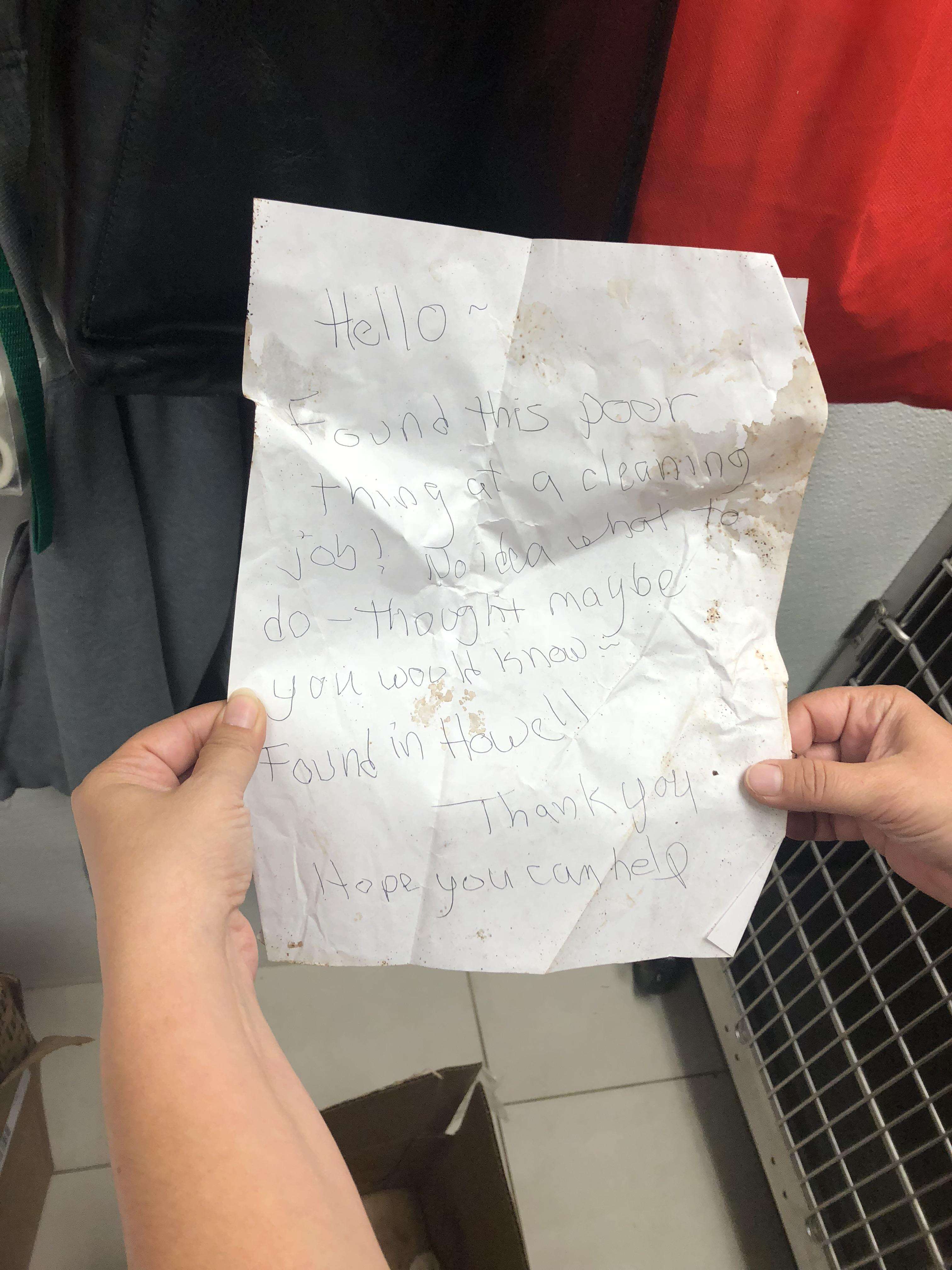 Note left under dog abandoned outside New Jersey shelter