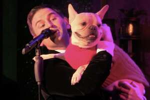 This Frenchie And His Dad Are Broadway Stars