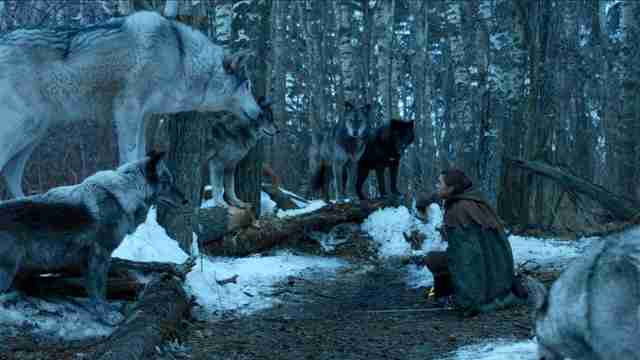 Game Of Thrones Season 8 Jon Snow S Direwolf Ghost Returns To