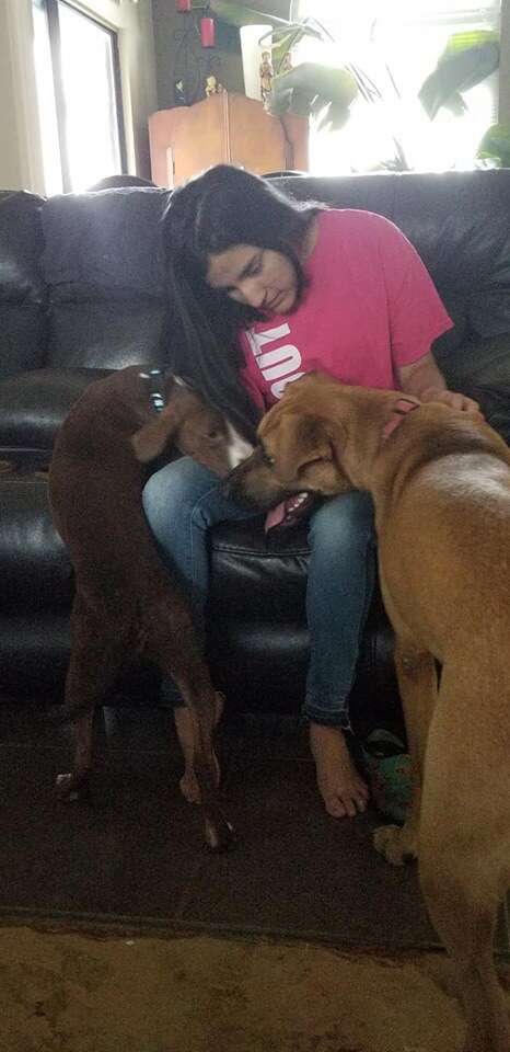 Two dogs sitting with woman