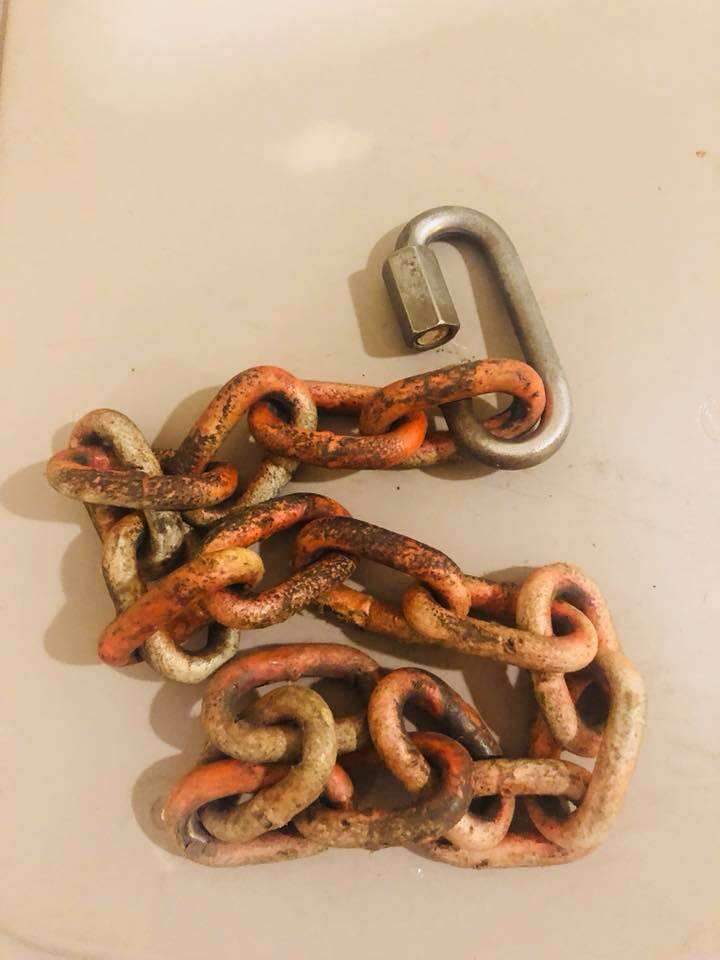 Chain that was around dog's neck