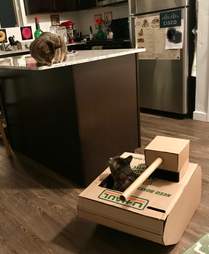 man builds cat a tank