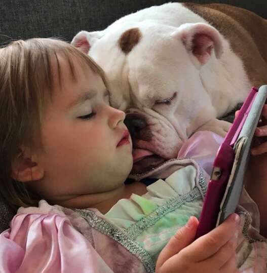 Fern the bulldog snuggles with sister June