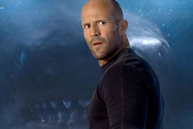 the meg