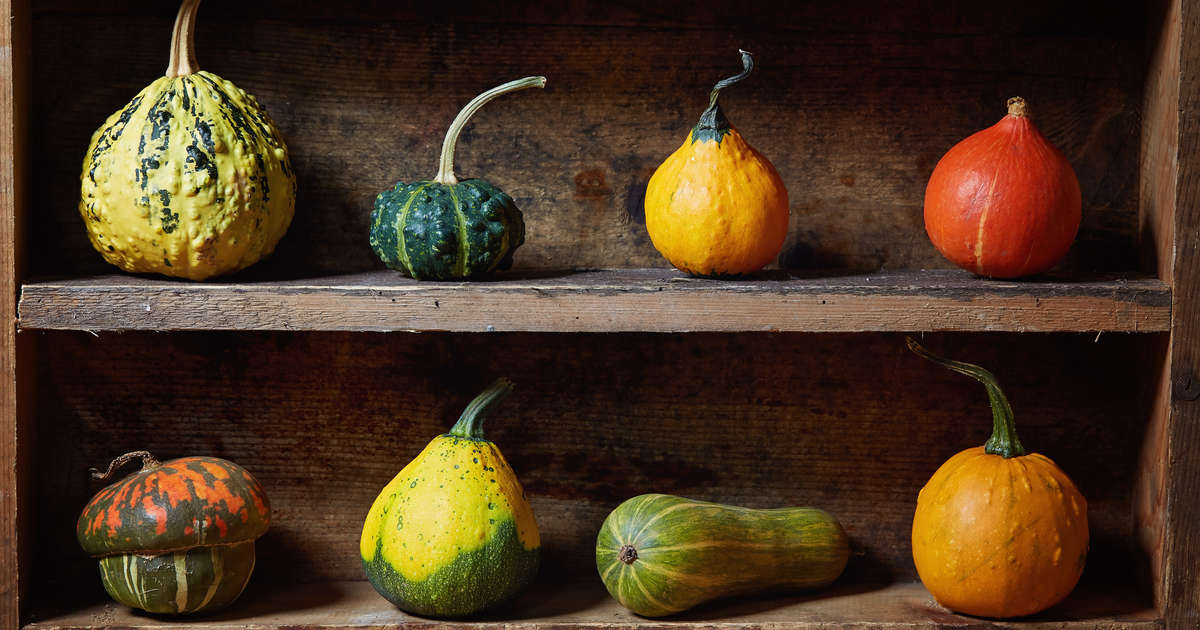 Can You Eat Gourds? Difference Between Gourds vs Squash, Explained