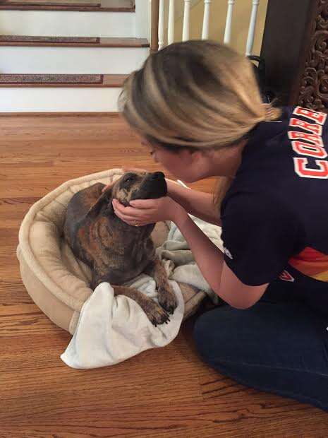 Woman cuddling dog's head