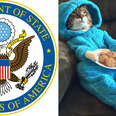 U.S. Embassy Issues Apology Over Accidental Invites To ‘Cat Pajama’ Party