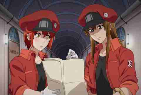 cells at work