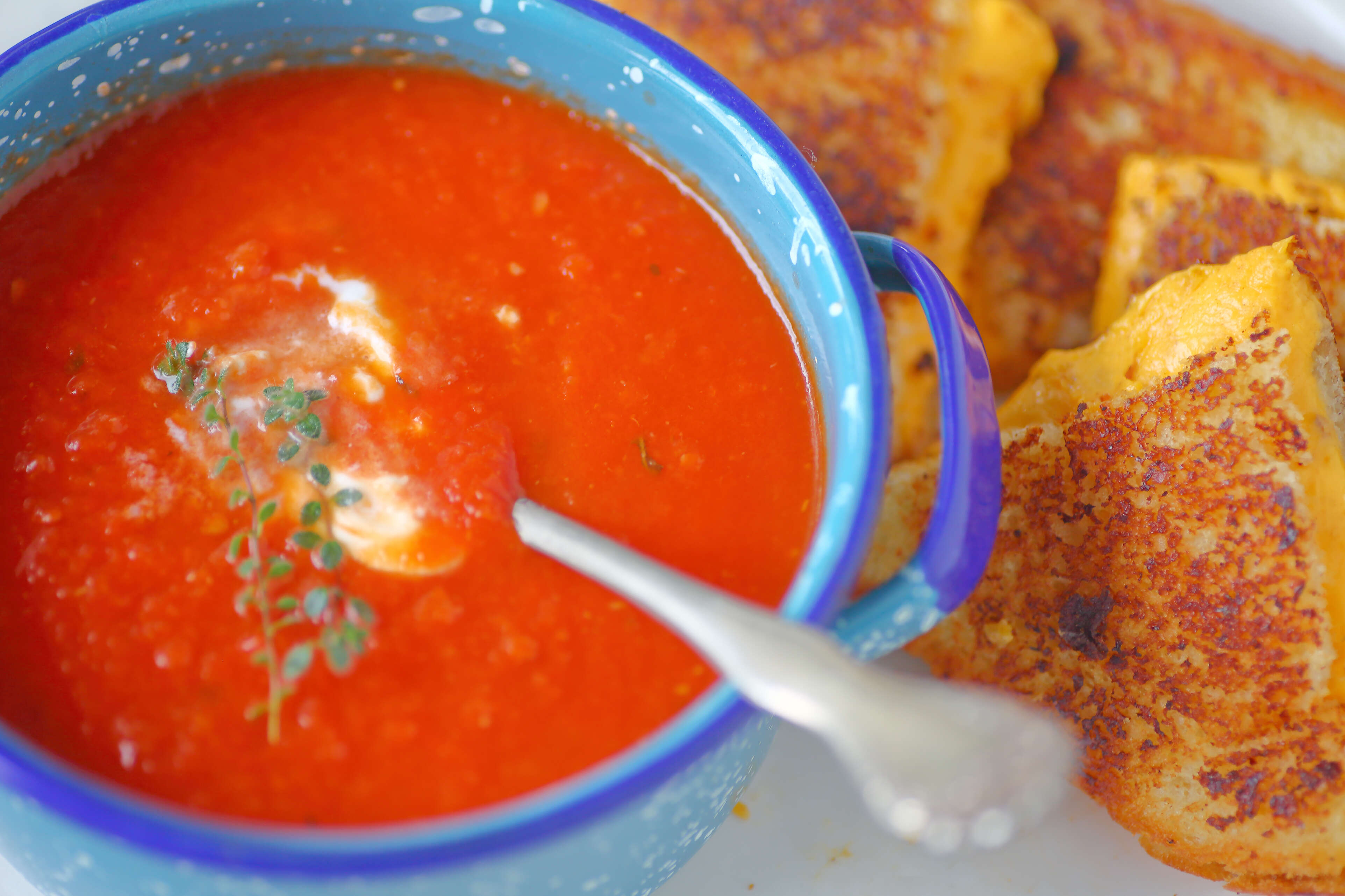 creamy tomato soup and grilled cheese